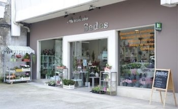Floristería Sedes
