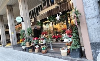 Blosoom's Flowers