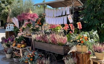 Tina Floristas