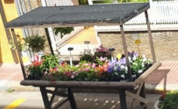 Flors Montse SL