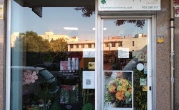 Floristería en Cádiz El Trébol Servicio Interflora