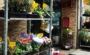 Floristería Syo