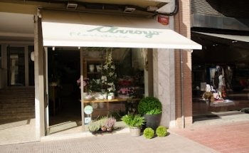 Arroyo