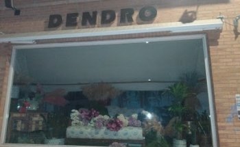 Dendro Floristas