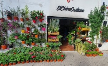 ElChinoSevillano