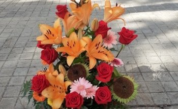 FLORS SENKA