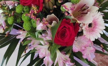 Flores y Plantas Elvi
