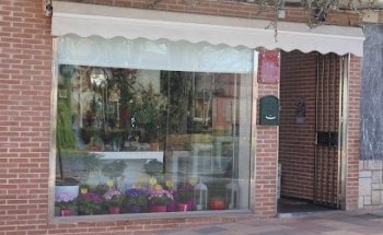 Floristería David Calleja