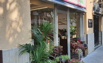 Läis Taller Floral
