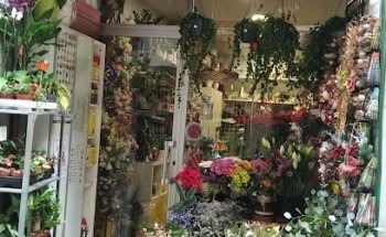 Floristeria Agarimo Barcelona