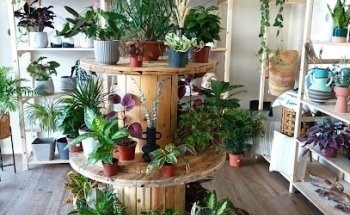 Sabanah Deco&Natur