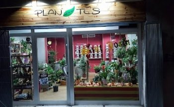 PLAN-TES