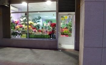 Flor Narin