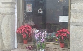 Floristería Paquita