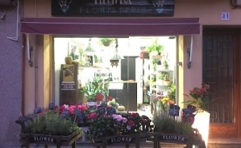 IMMA floristeria