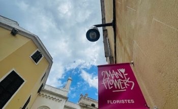 2manyflowers