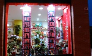 Floristería JUAN Barakaldo