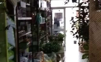 Floristería Y Grow