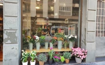 Entreflores