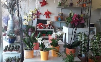 Flors