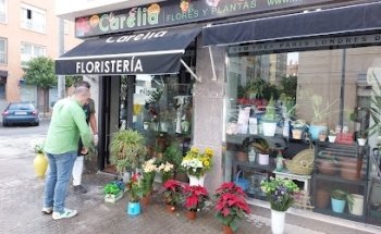 Floristería en Sevilla Carelia