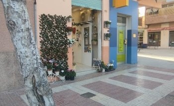 Calas floristería