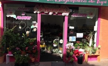 Floristeria La Buganvilla de Lupi