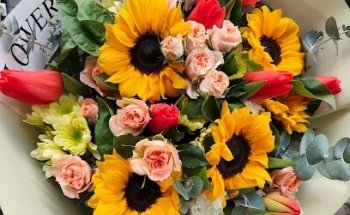 Flor Hispania