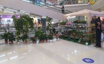 Tu Planta Barata