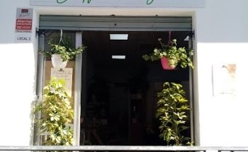 El Rincón de las Flores