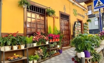 Flor de Mundo