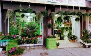 Floristería Rojas