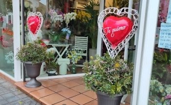 Flores Y Plantas Loli