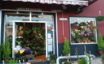 Floristería Páez