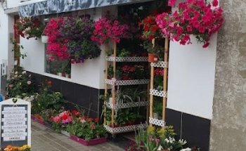 Floristeria encanto