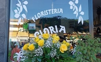 Floristería Gloria