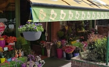 FLORIDEA