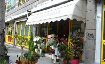 Floristería Mármol Flor