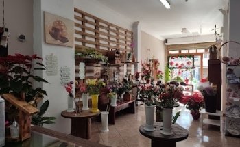 Floristeria Rosy