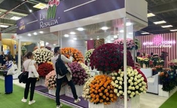 Florería FIO ROAGNA