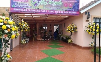 Floreria La Pergola La Serena