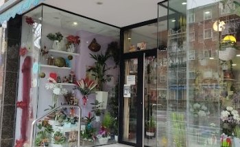 Ikebana Florist Valladolid