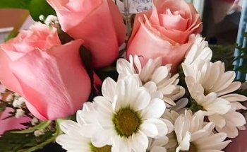 Floreria Ciudad Del Sol