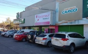 Florerias Floramour Flores (Rotonda Atenas, Las Condes)