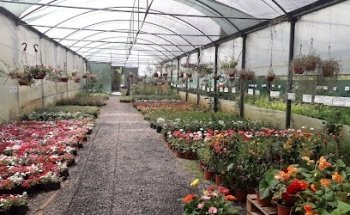 JARDIN JAPONES CONCEPCION