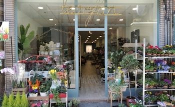 León Flor
