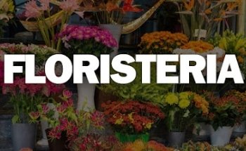 Floristeria Catalina
