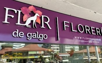Florería Flor de Galgo