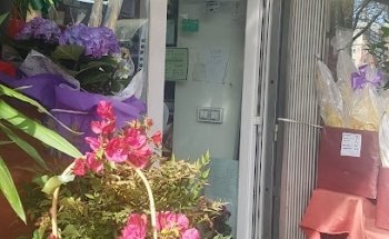 Flores Fortuño