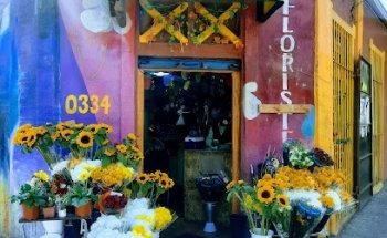 rusticflower floristeria Bellavista